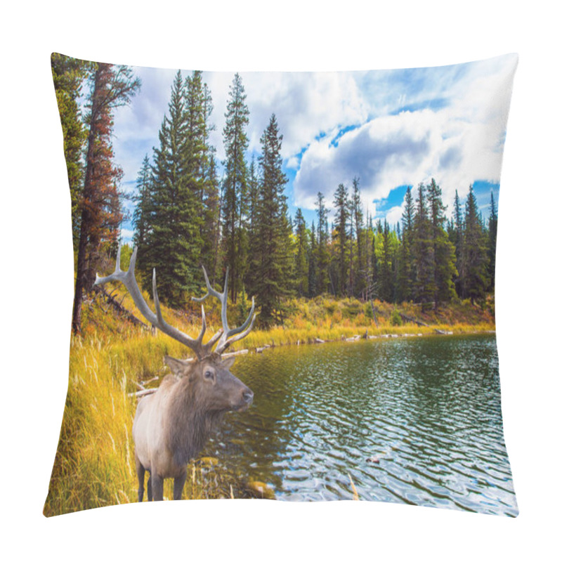 Personality   Cold Cloudy Autumn Day Near The Bighorn Highway. Canadian Rockies. Magnificent Deer With Branching Horns Grazes On The Lake. The Concept Of Ecological, Active And Photo Tourism Pillow Covers