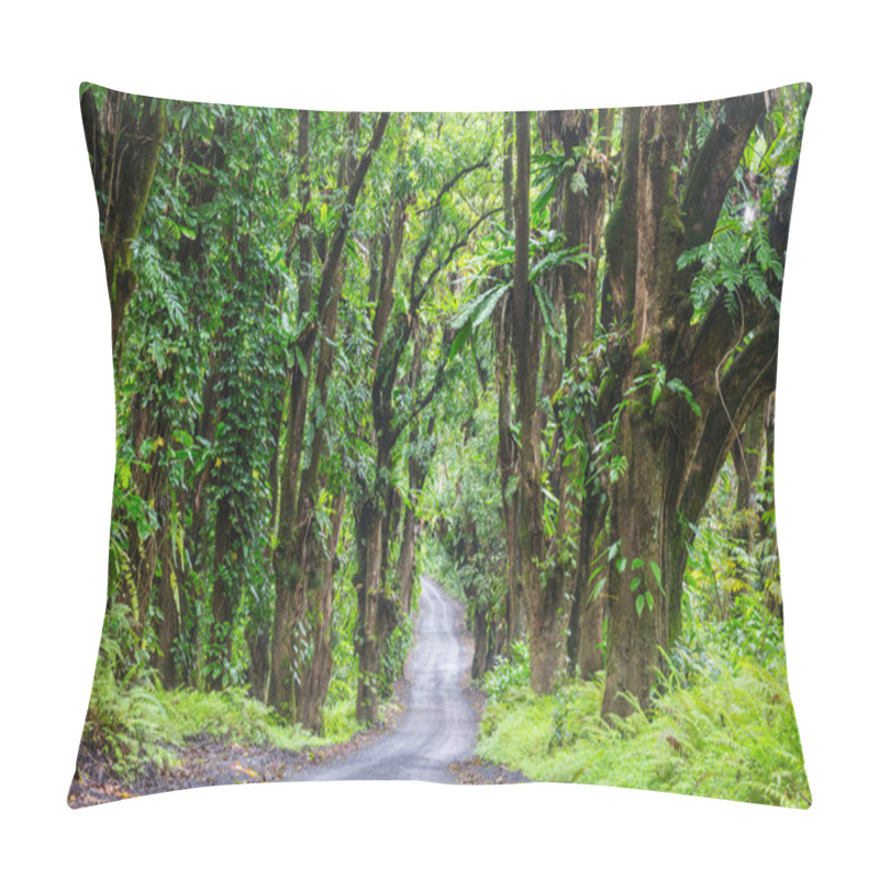 Personality  Dirt Road In Remote Jungle In Big Island, Hawaii Pillow Covers