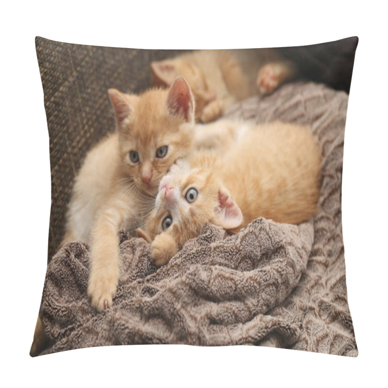 Personality  Fluffy Little Kittens Playing On Sofa  Pillow Covers