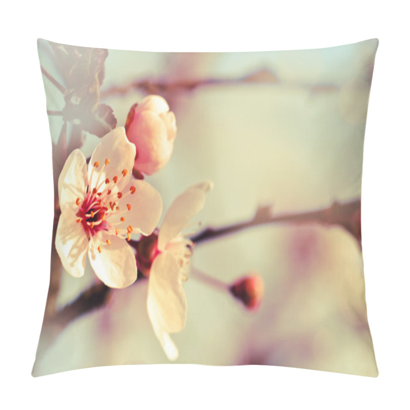 Personality  Spring Background Pillow Covers