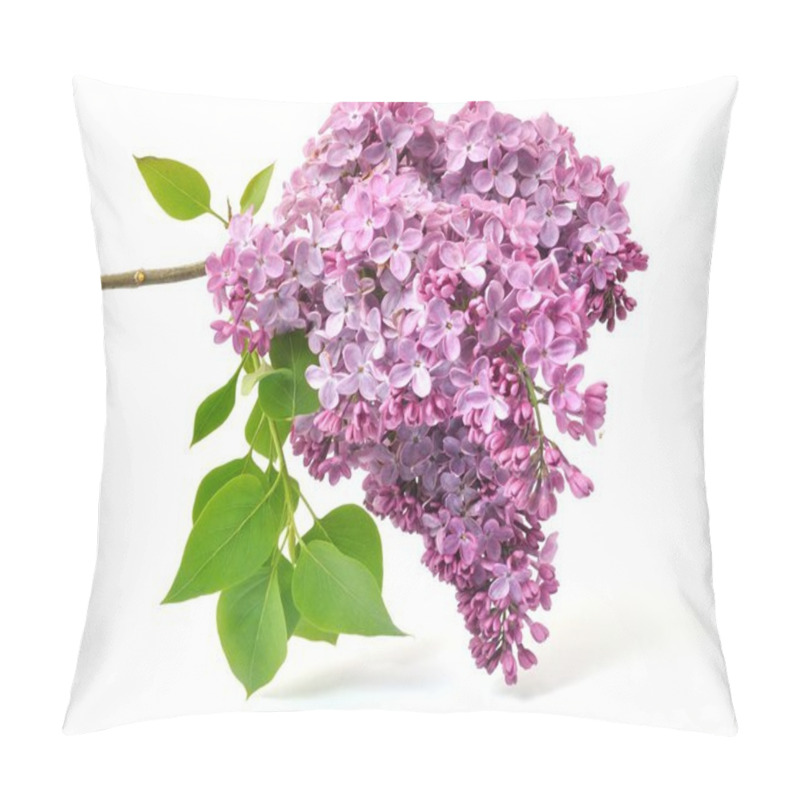 Personality  An Lilac Purple Blossoms Pillow Covers