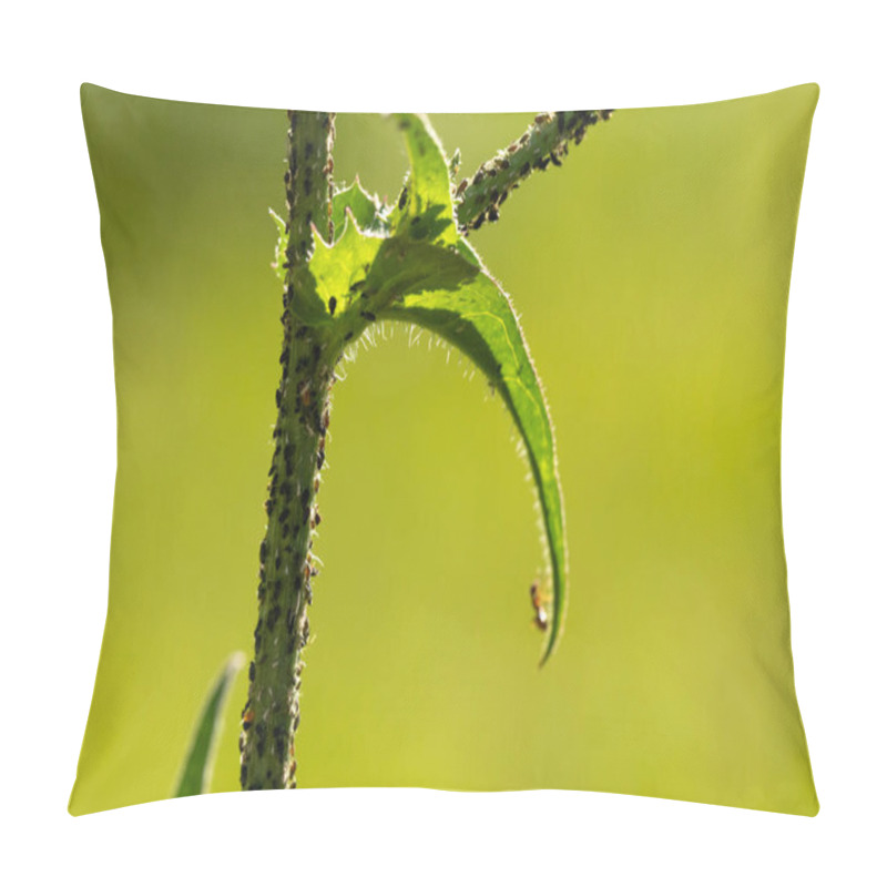 Personality  Insects In The Plants Pillow Covers