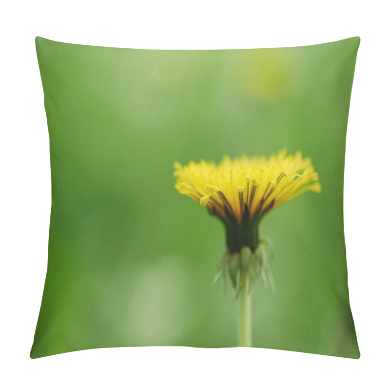 Personality  Close-up View Of Single Yellow Blooming Dandelion Flower, Selective Focus Pillow Covers