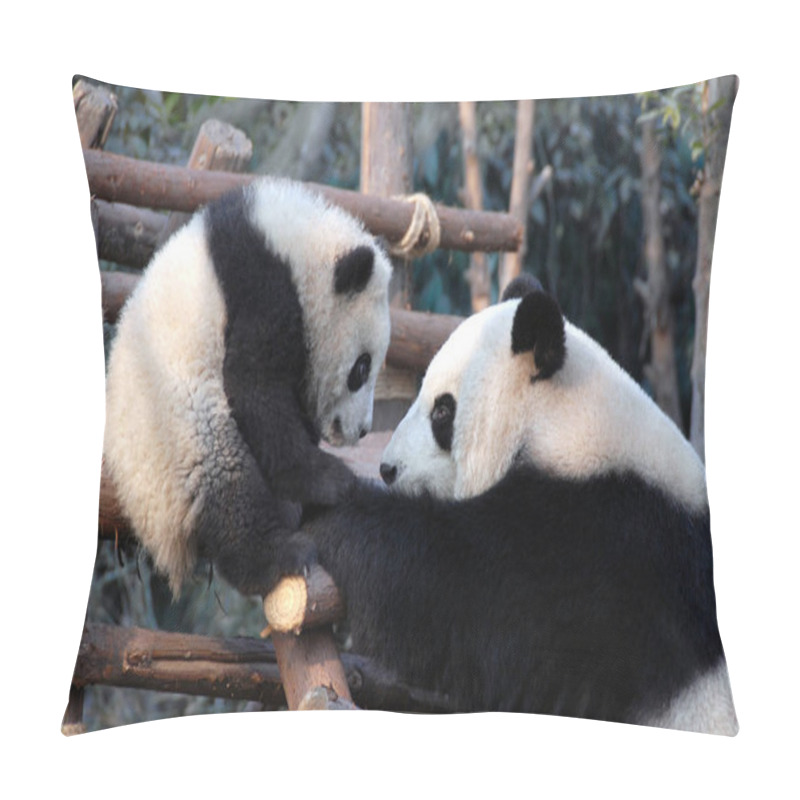 Personality  Panda Mother And Cub At Chengdu Panda Reserve (Chengdu Research Base Of Giant Panda Breeding) In Sichuan, China. Two Pandas Looking At Each Other. Panda With Cub At The Panda Reserve In Chengdu, China Pillow Covers