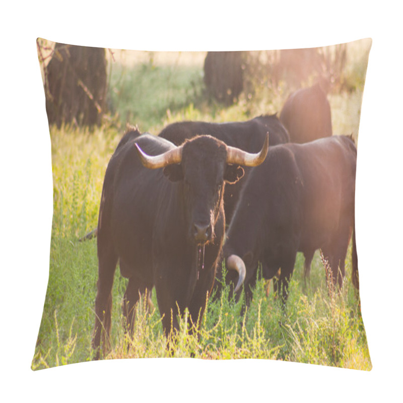 Personality  Fighting Bulls Breed Free-range Pillow Covers