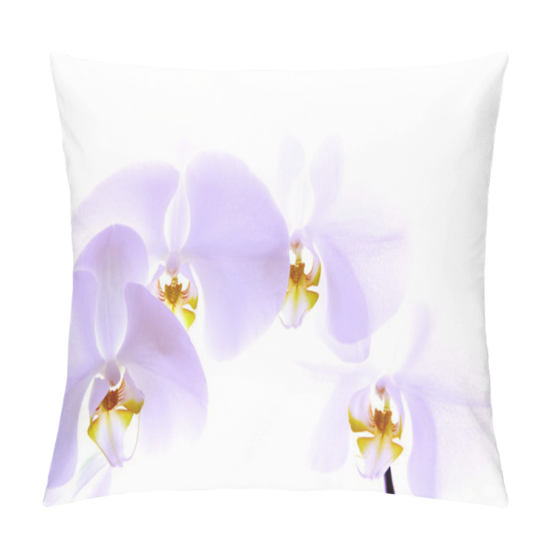 Personality  Orchid Isolated On White Background Pillow Covers