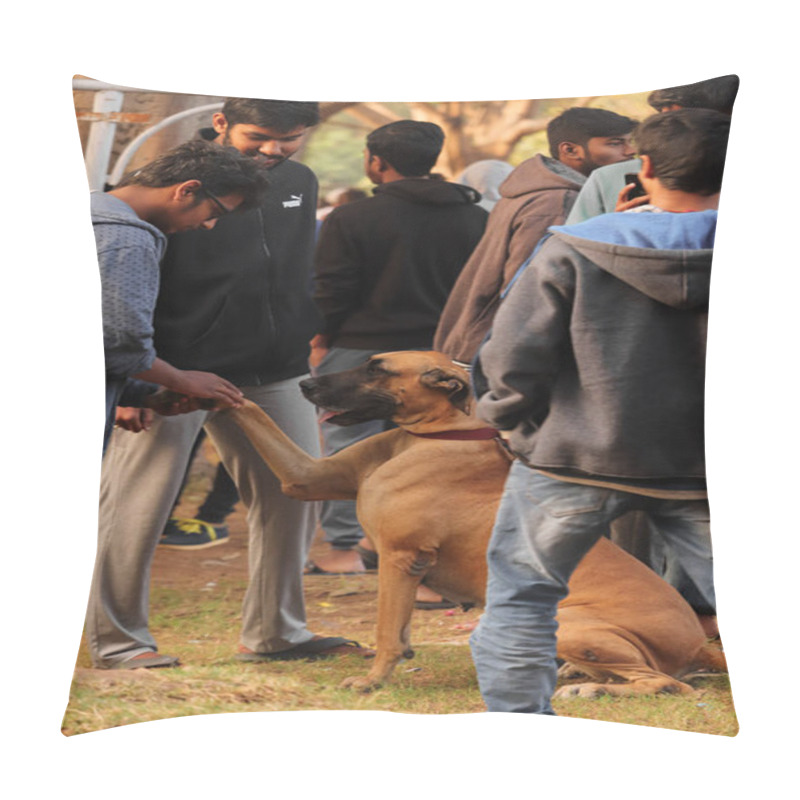 Personality  Dog With Owner At Dogs Park , Dogs Lover , Dog Playing With People   Pillow Covers