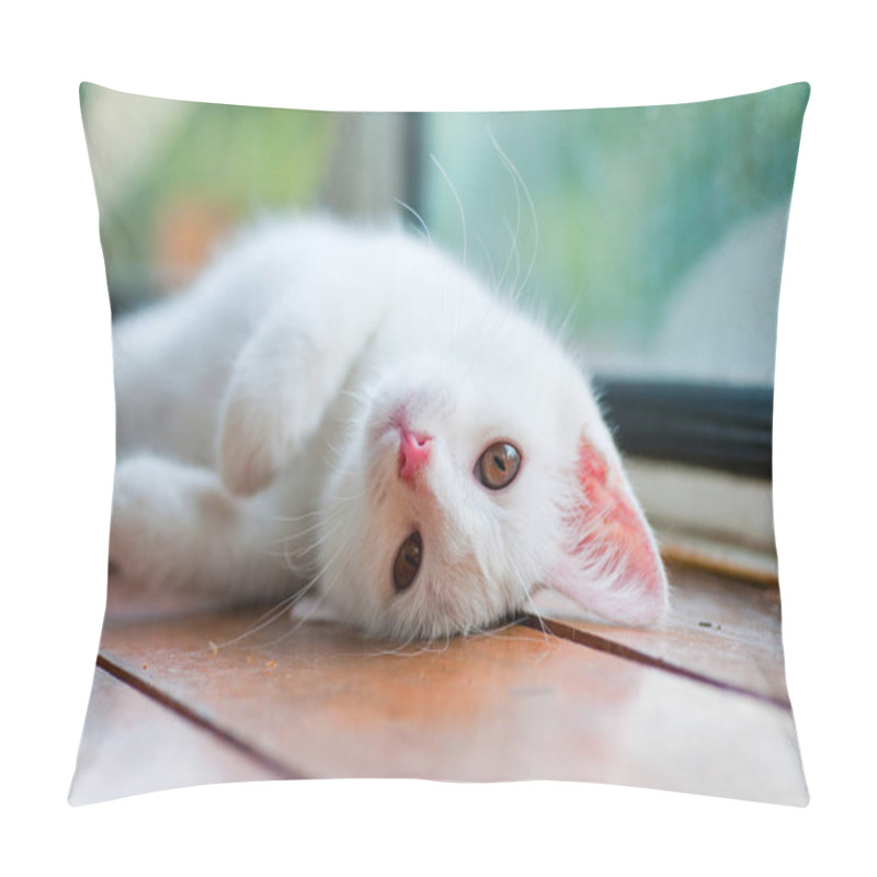 Personality  White Kitten Playing On The Balcony Pillow Covers