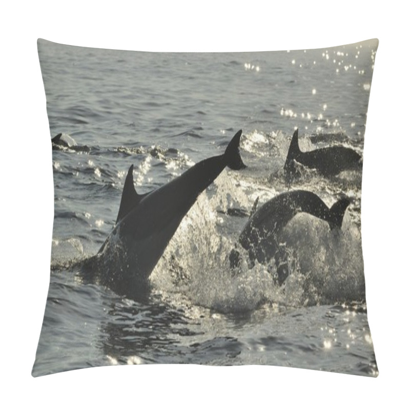 Personality  Group Of Dolphins, Swimming   Pillow Covers