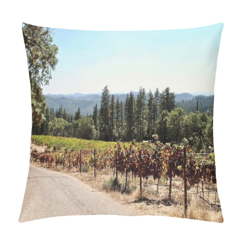 Personality  Northern California Vineyard Near Grass Valley. The Vines Grow On Steeply Terraced Terrain In The Sierra Foothills. The 'View Forever Vineyard' Is Owned And Operated By Lucchesi Vineyards And Winery. Pillow Covers