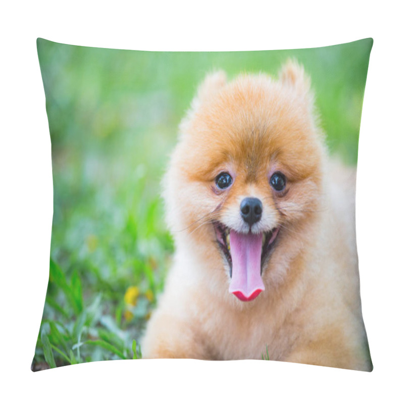 Personality  The Baby Dog Lying On Glasses Pillow Covers