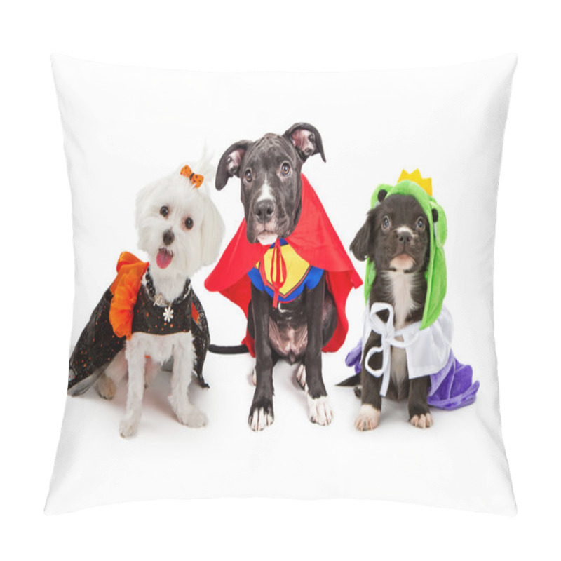 Personality  Cute Puppy Dogs Wearing Halloween Costumes Pillow Covers