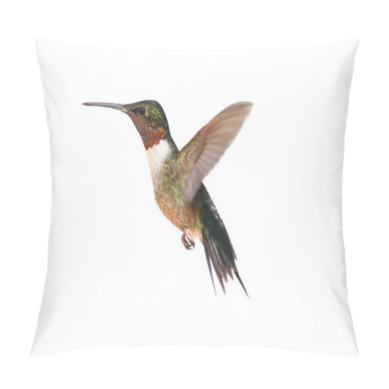 Personality  Isolated Ruby-throated Hummingbird Pillow Covers