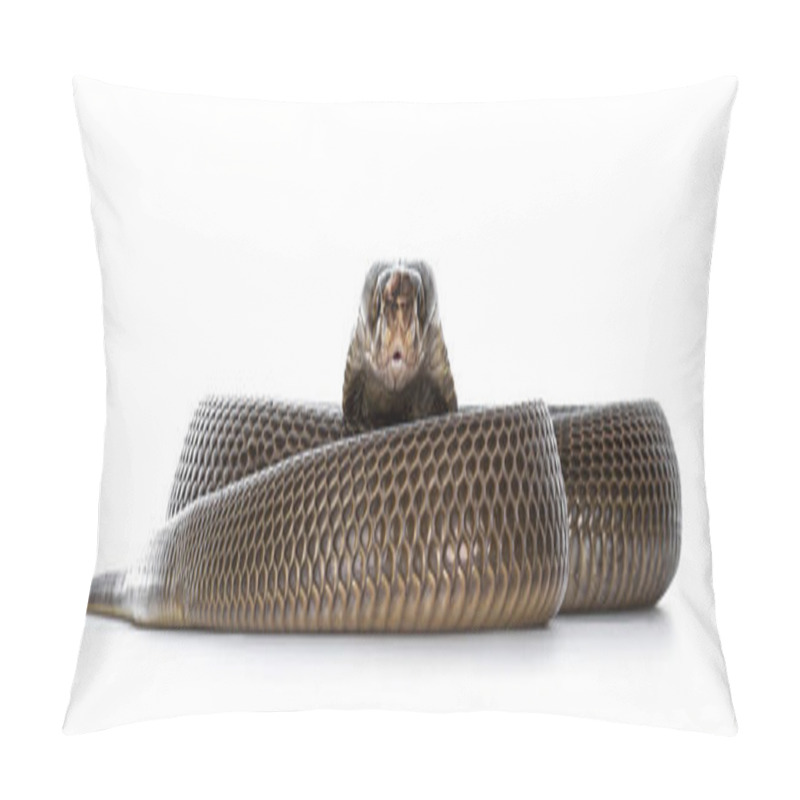 Personality  Adult Monocled Cobra Ak Pillow Covers