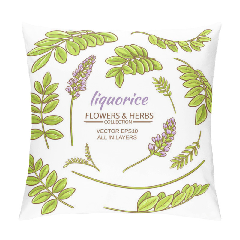 Personality  Liquorise Elements Vector Set Pillow Covers