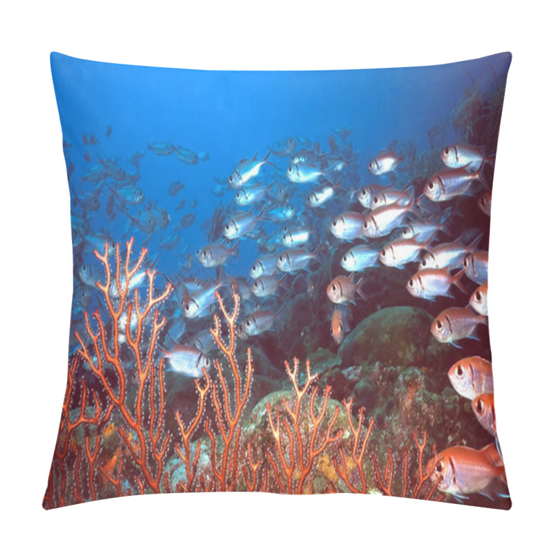 Personality  Squirell Reef Pillow Covers