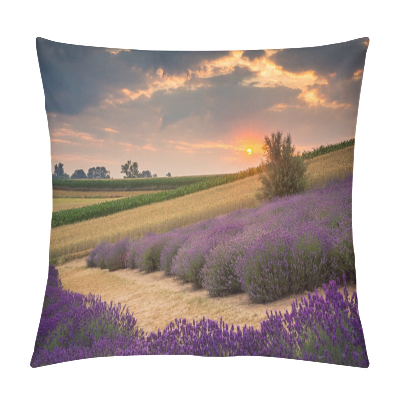 Personality  Sunrise Over The Lavender Field In Ostrow Near Cracow, Malopolskie, Poland Pillow Covers