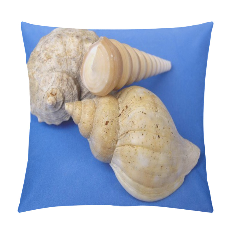 Personality  Snail Bowls And Shells Isolated On Blue Surface  Pillow Covers