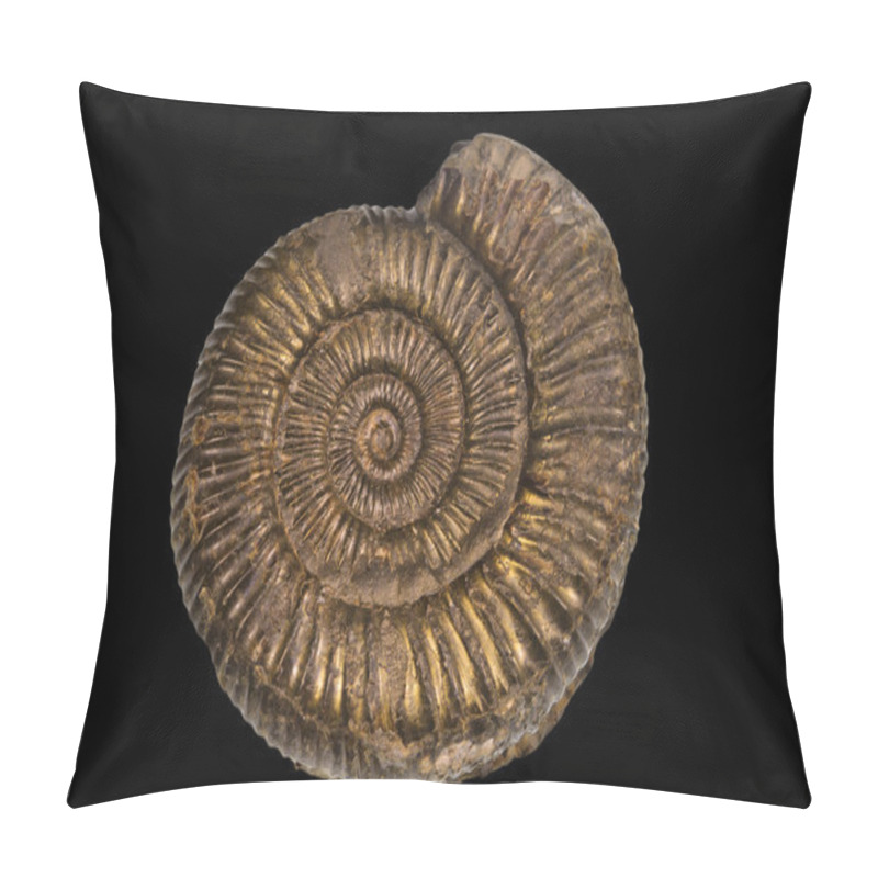 Personality  Pyretized Ammonite Pillow Covers