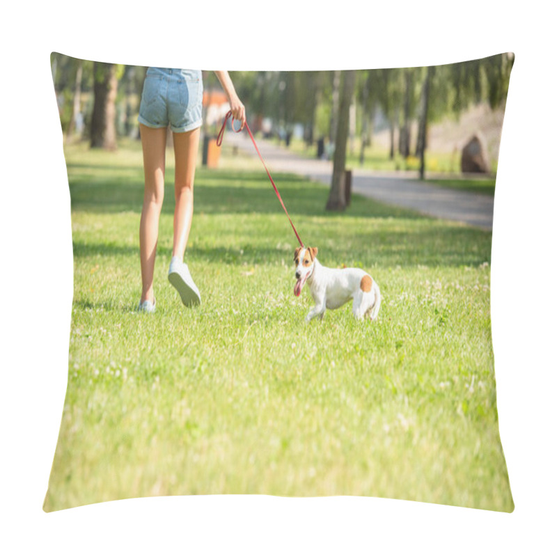 Personality  Cropped View Of Young Woman Walking With Jack Russell Terrier Dog Pillow Covers