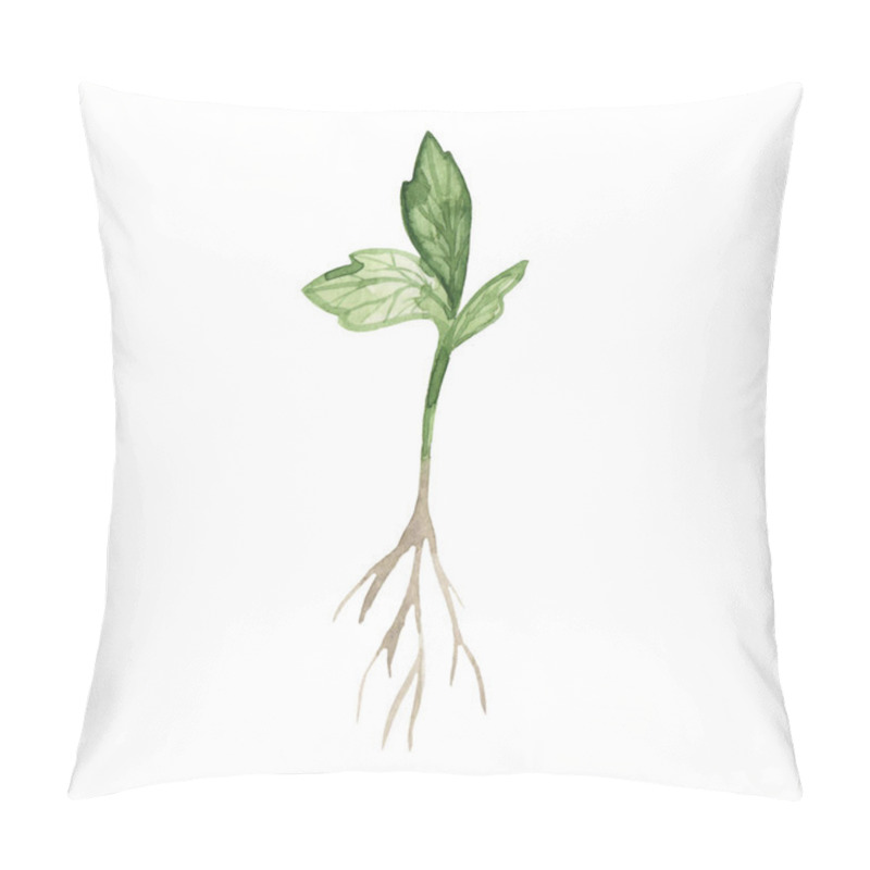 Personality  Watercolor Hand Drawing Green Sprout With Root Isolated On White Background. Spring Seedlings. Garden. Pillow Covers