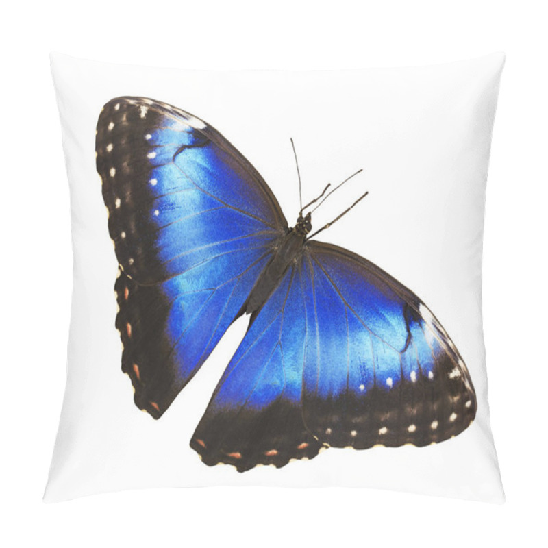 Personality  Bright Blue Morpho Butterfly Isolated On White Background With Spread Wings Pillow Covers