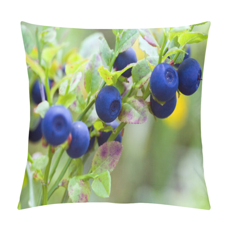 Personality  Bush Of A Ripe Bilberry Pillow Covers