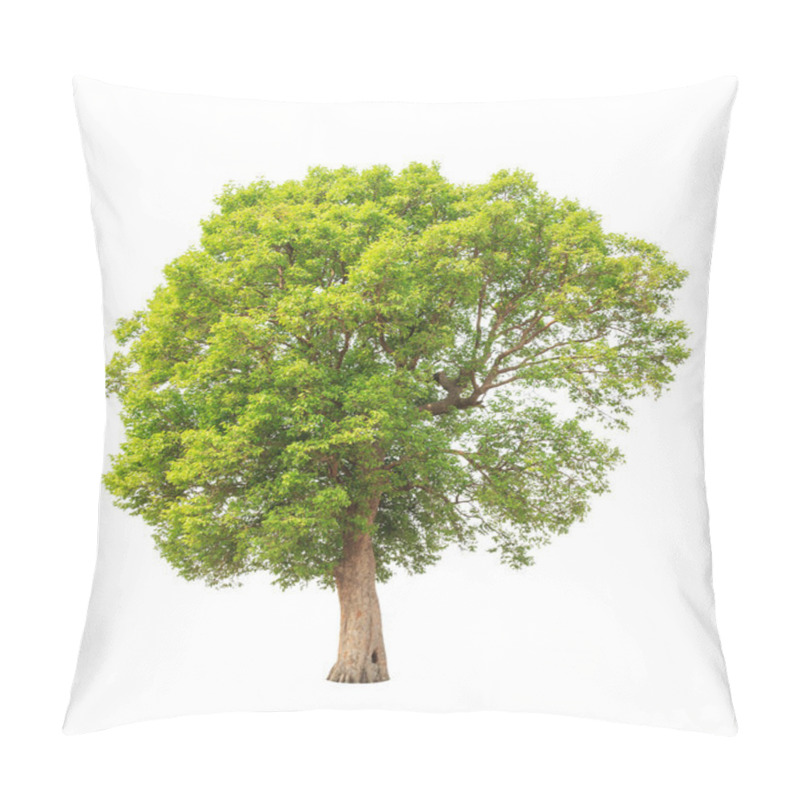 Personality  Irvingia Malayana Also Known As Wild Almond, Tropical Tree In Th Pillow Covers