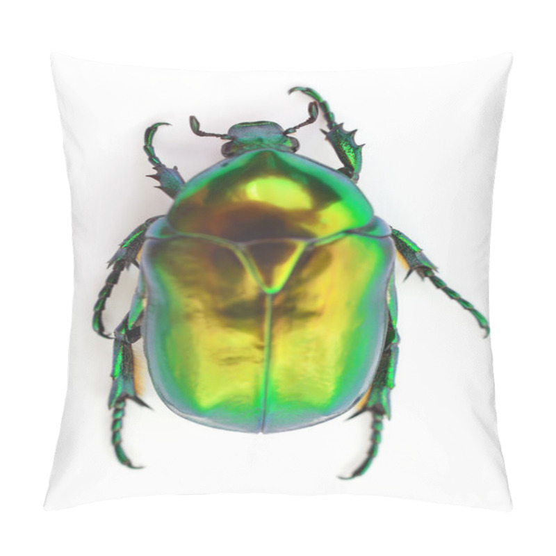 Personality  Green Beetle Insect Rose Chafer (cetonia Aurata) Isolated On White Background. Pillow Covers