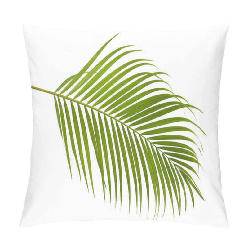 Personality  Yellow Palm Leaves (Dypsis Lutescens) Or Golden Cane Palm, Areca Palm Leaves, Tropical Foliage Isolated On White Background With Clipping Path Pillow Covers