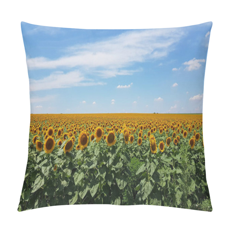 Personality  Summer Rural Landscape Of Countryside In Ukraine. Bright Yellow Common Sunflower Blooming Field With Cloudscape Above Horizon. Ripening Sunflower Field In Summer Pillow Covers