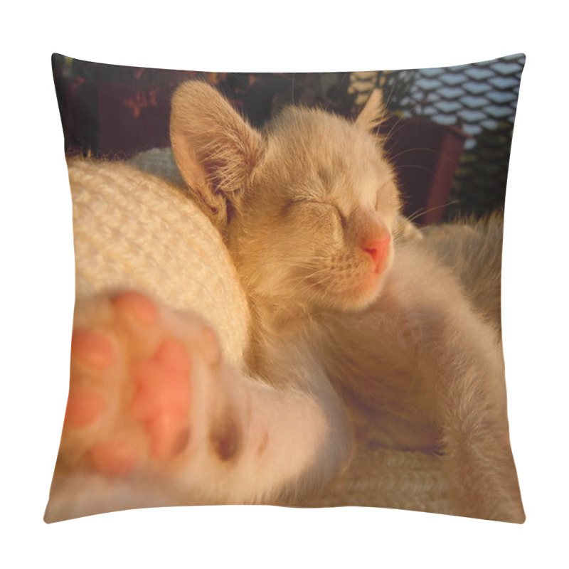 Personality  Sweet Dreams Pillow Covers