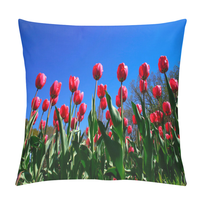 Personality  Boston Public Garden Pillow Covers