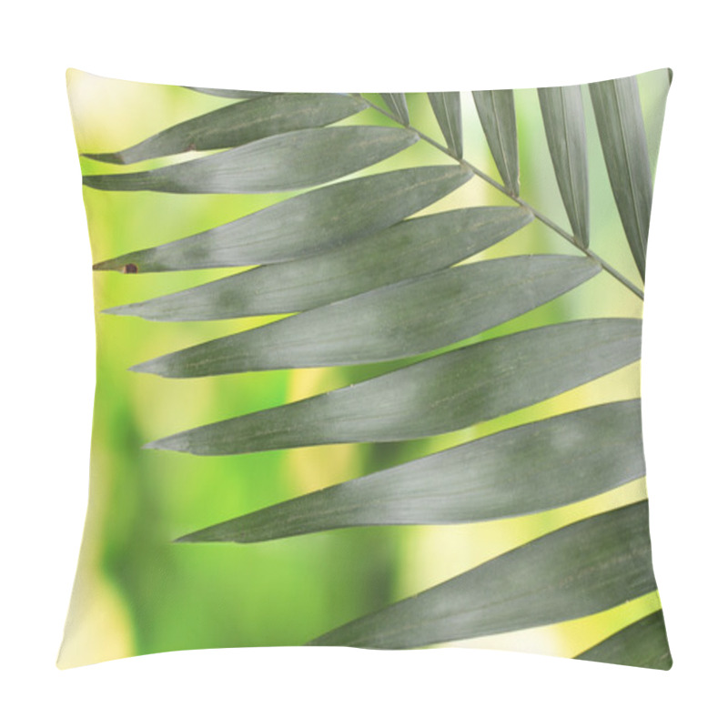 Personality  Beautiful Palm Leaf On Green Background Pillow Covers