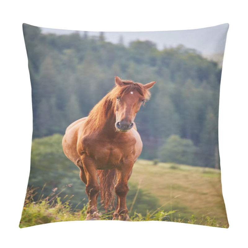 Personality  Cute Horse In The Alps Eating Green Grass Pillow Covers