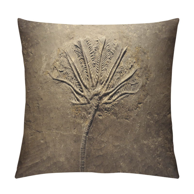 Personality  Fern Fossils Pillow Covers