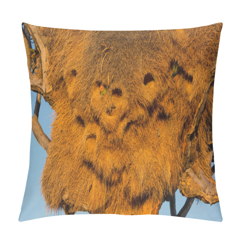 Personality  Huge Nest Of The Sociable Weaver Is A Species Of Bird In The Weaver Family Endemic To Southern Africa. Namibia Pillow Covers