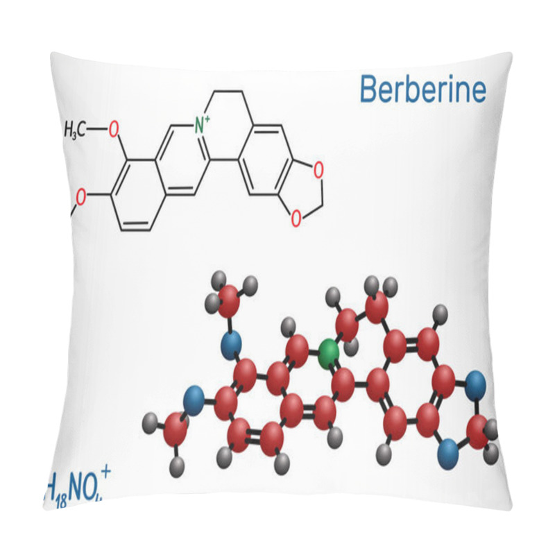 Personality  Berberine C20H18NO4, Herbal Alkaloid Molecule. Structural Chemical Formula And Molecule Model. Pillow Covers