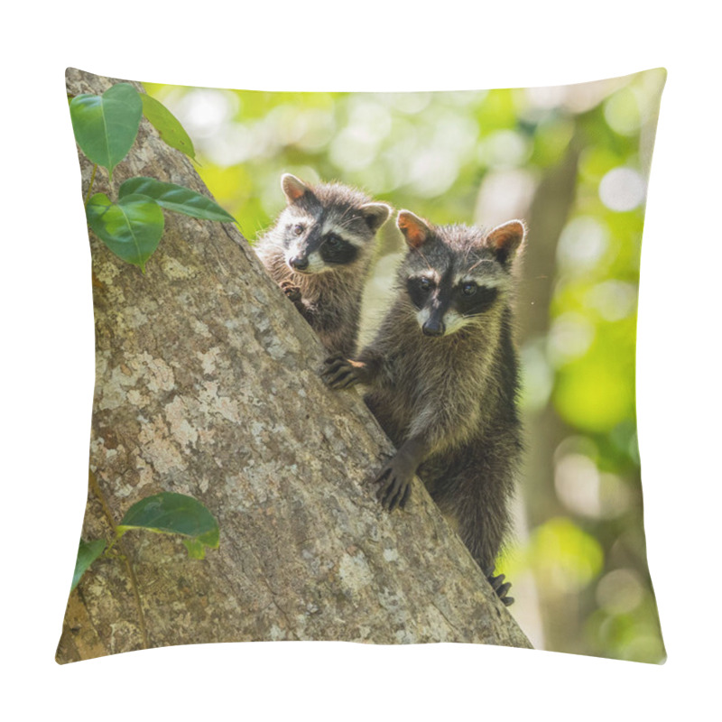 Personality  Two Young Raccoons On Tree Trunk. Pillow Covers