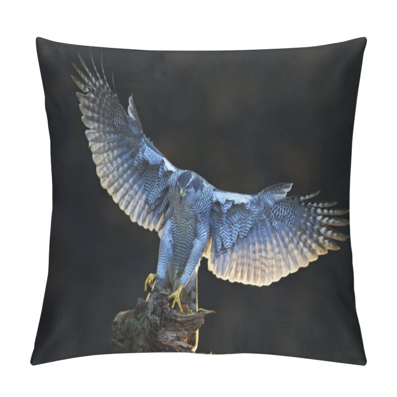 Personality  Wildlife Animal Scene With Goshawk Pillow Covers