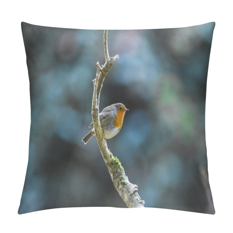 Personality  Cute Little Round Robin Bird Perched On A Tree Branch Pillow Covers