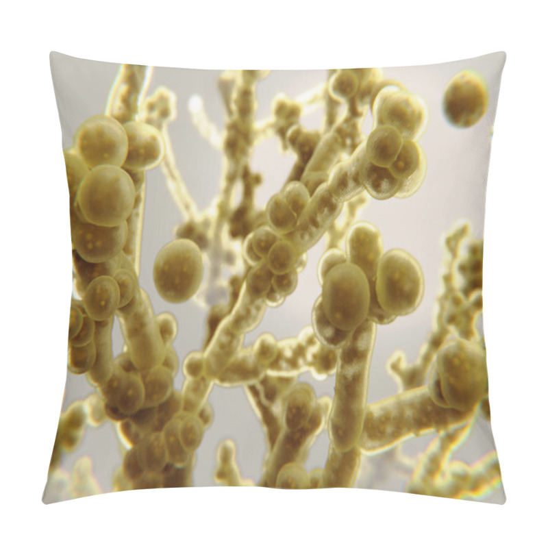 Personality  Candida Auris, A Pathogenic Yeast That Causes Candidiasis Pillow Covers