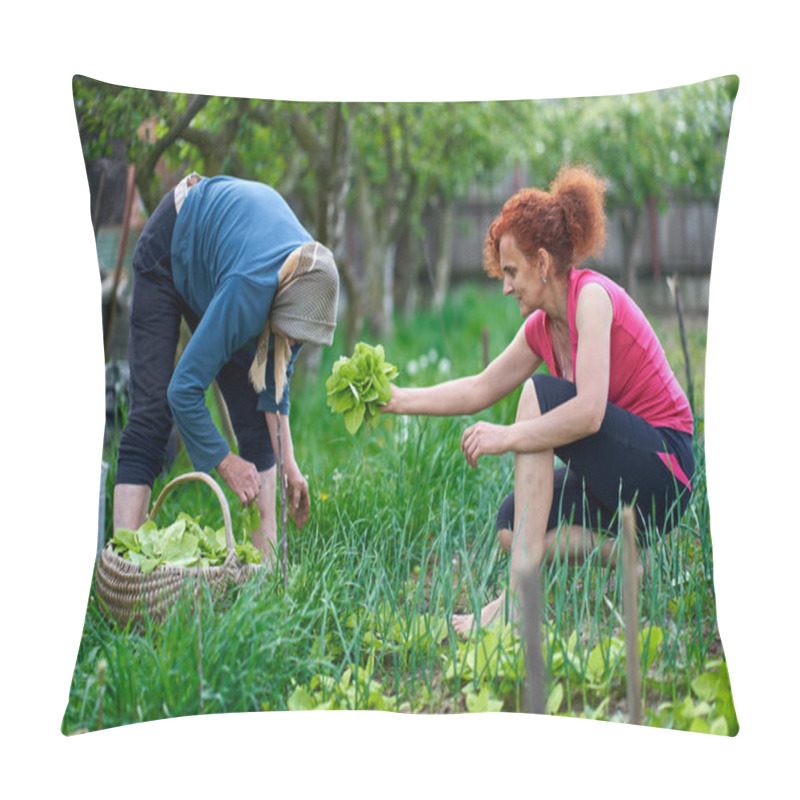 Personality  Woman And Her Elder Mother Harvesting Orache In The Garden Pillow Covers