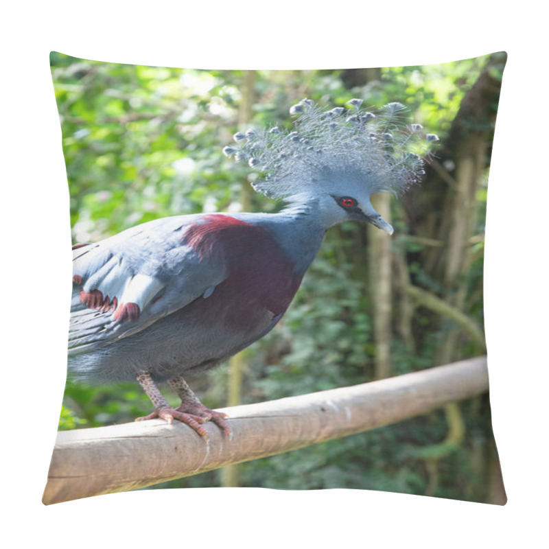 Personality  Exotic Blue Victoria Crowned Pigeon With Crown Feathers Pillow Covers