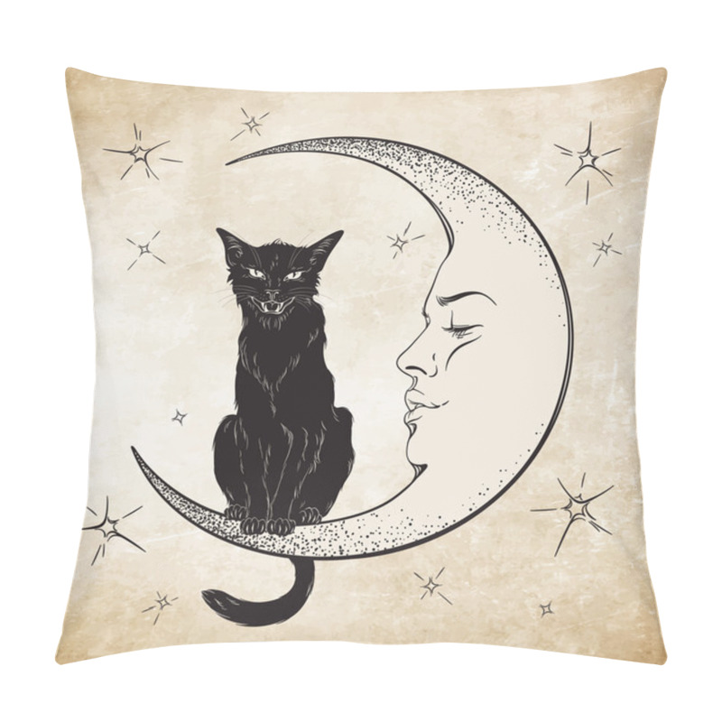 Personality  Black Cat Sitting On The Moon. Wiccan Familiar Spirit Vector Pillow Covers