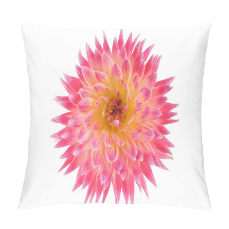 Personality  Close-up View Of Beautiful Blooming Dahlia Pillow Covers