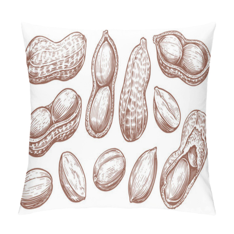 Personality  Peanut Set Isolated. Groundnuts Sketch Vector Illustration. Hand Drawn Nuts In Vintage Engraving Style Pillow Covers