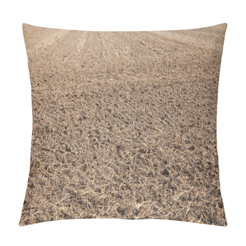 Personality  Germany, Harvested Field Pillow Covers