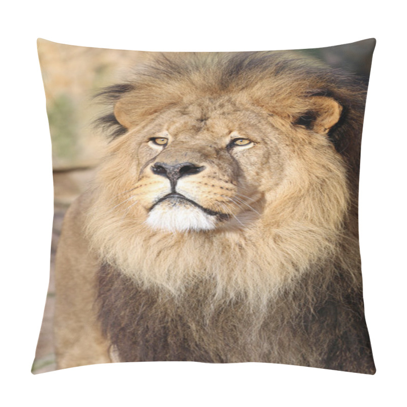 Personality  Big Lion's Head  Pillow Covers