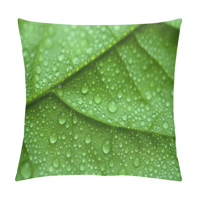 Personality  Fresh Green Leaf With Water Drops Pillow Covers